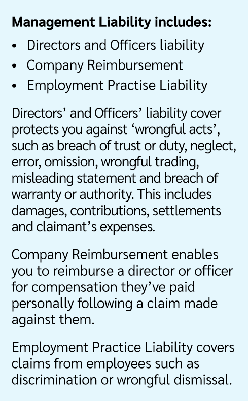 Management Liability includes: • Directors and Officers liability • Company Reimbursement • Employment Practise Liabi...