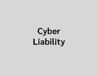 Cyber Liability
