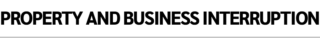 property and business interruption